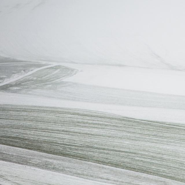 A snowfall (19)